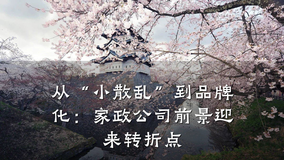 从“小散乱”到品牌化：家政公司前景迎来转折点