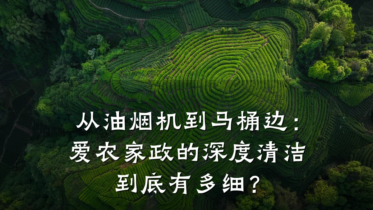 从油烟机到马桶边:爱农家政的深度清洁到底有多细?