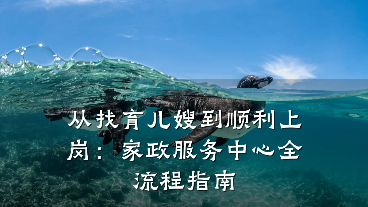 从找育儿嫂到顺利上岗：家政服务中心全流程指南