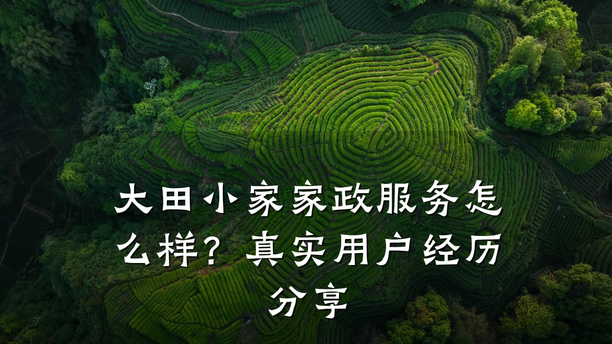 大田小家家政服务怎么样？真实用户经历分享