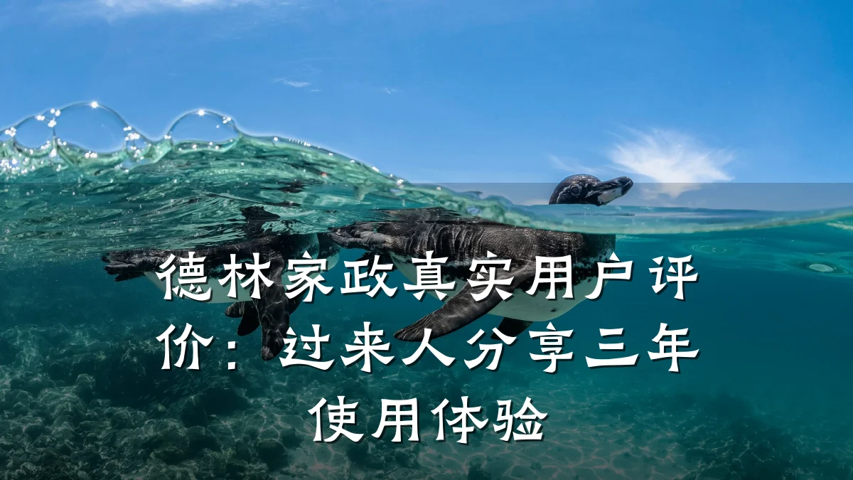 德林家政真实用户评价：过来人分享三年使用体验