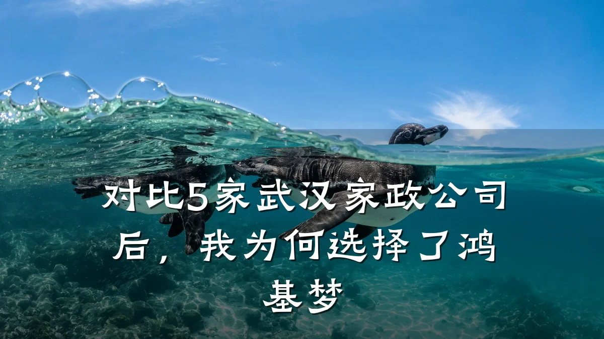 对比5家武汉家政公司后,我为何选择了鸿基梦