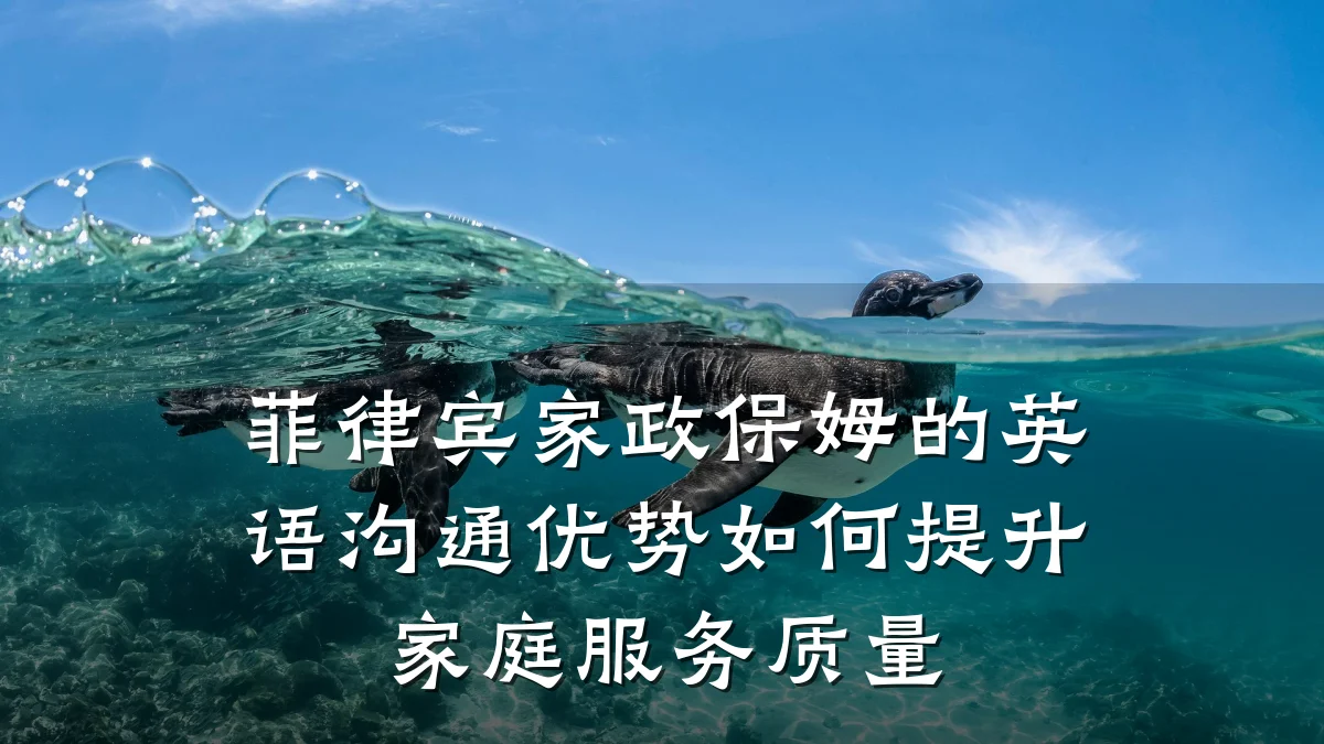 菲律宾家政保姆的英语沟通优势如何提升家庭服务质量