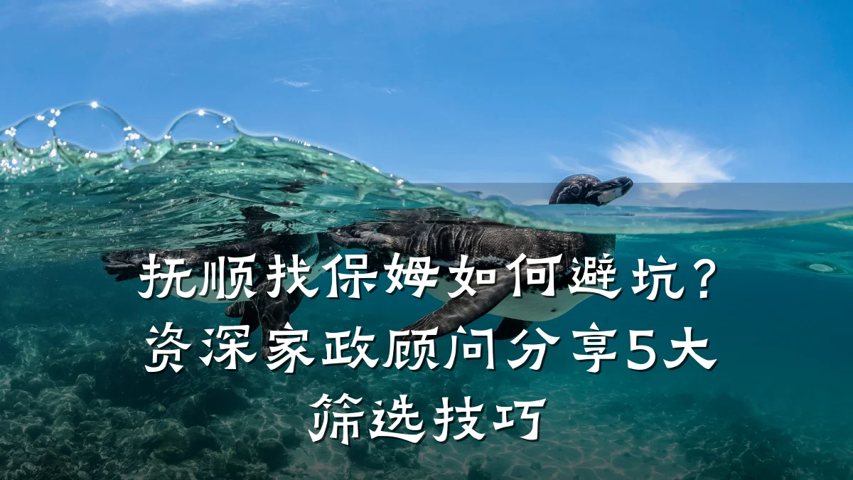 抚顺找保姆如何避坑?资深家政顾问分享5大筛选技巧