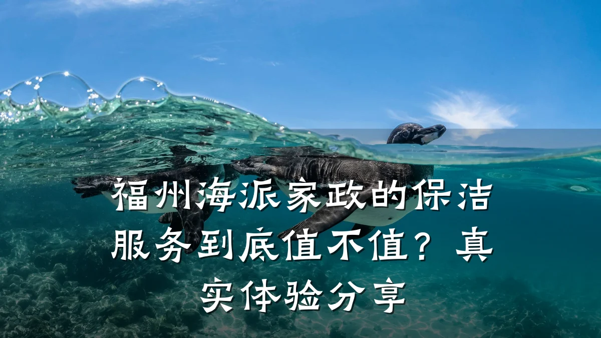 福州海派家政的保洁服务到底值不值？真实体验分享