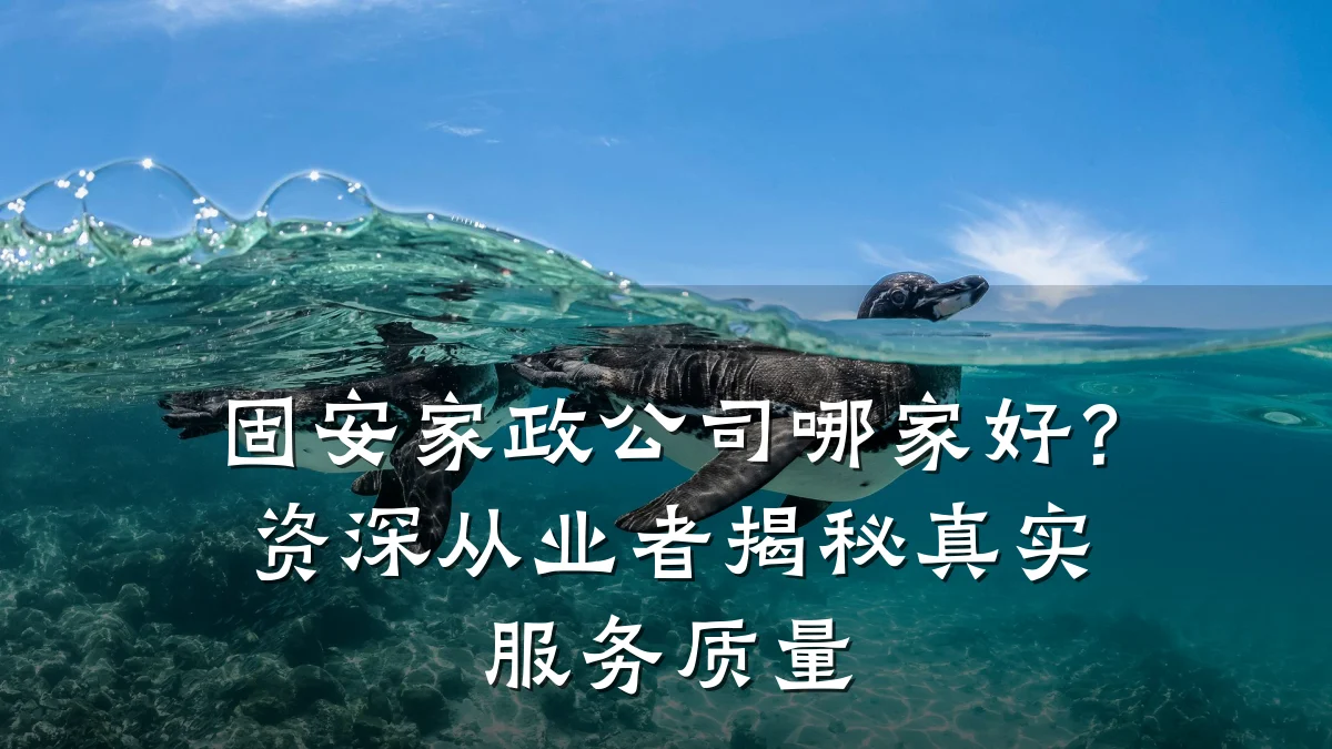 固安家政公司哪家好?资深从业者揭秘真实服务质量