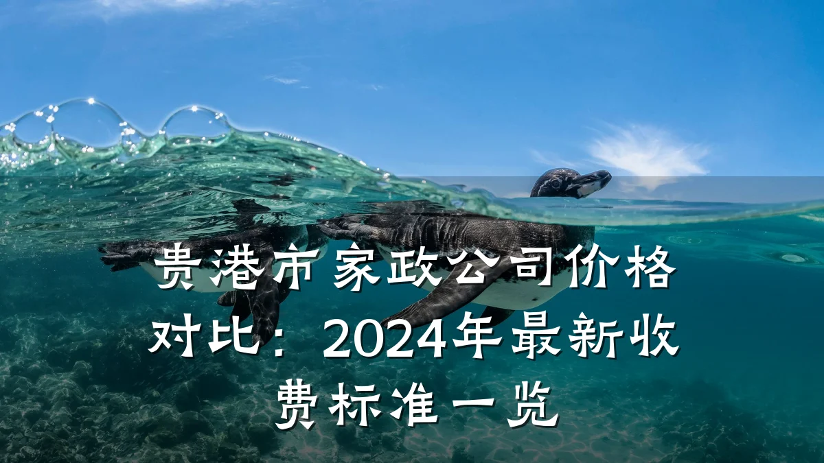 贵港市家政公司价格对比:2024年最新收费标准一览