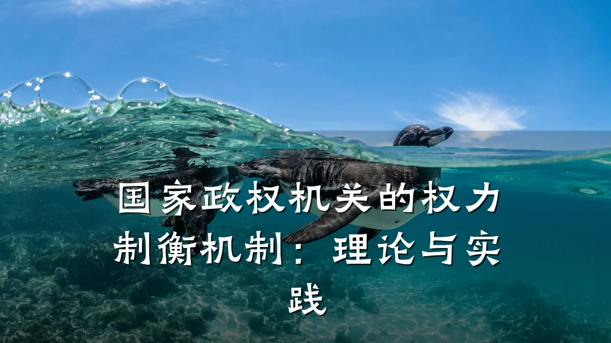 国家政权机关的权力制衡机制:理论与实践