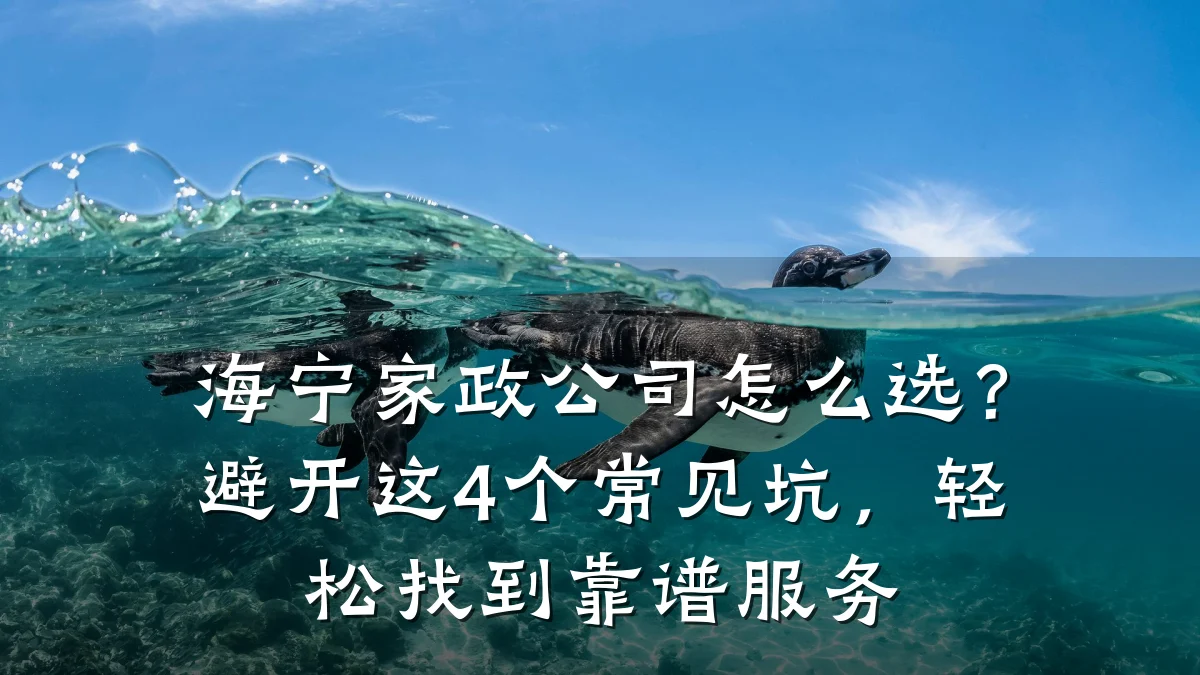 海宁家政公司怎么选?避开这4个常见坑,轻松找到靠谱服务