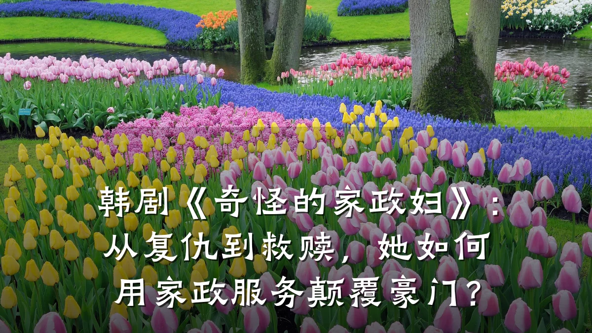 韩剧《奇怪的家政妇》:从复仇到救赎,她如何用家政服务颠覆豪门?