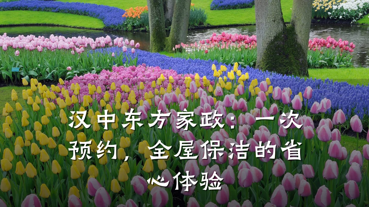 汉中东方家政:一次预约,全屋保洁的省心体验