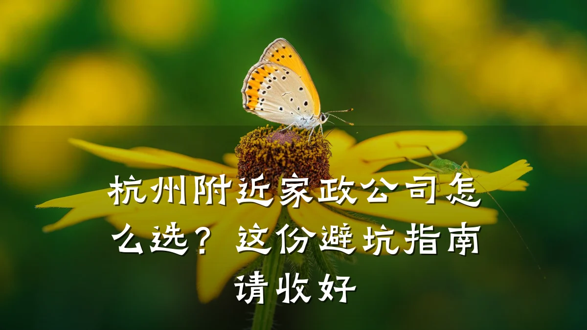 杭州附近家政公司怎么选？这份避坑指南请收好