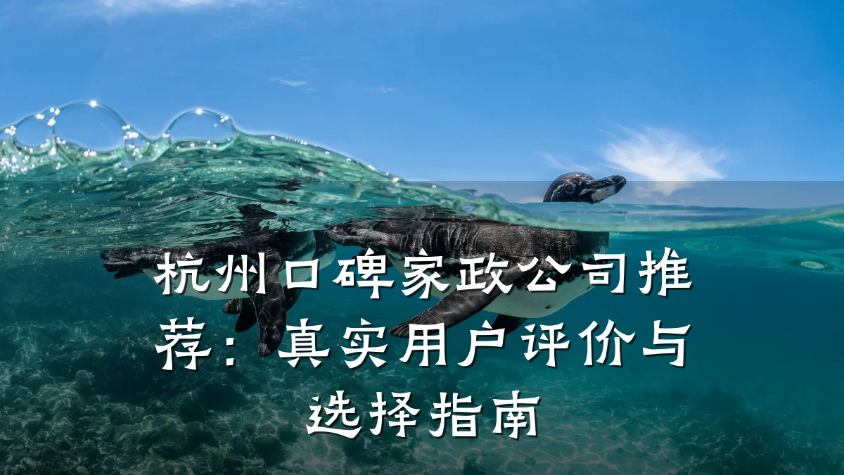 杭州口碑家政公司推荐：真实用户评价与选择指南