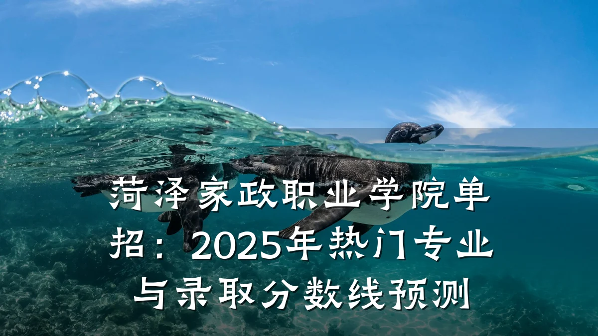 菏泽家政职业学院单招：2025年热门专业与录取分数线预测