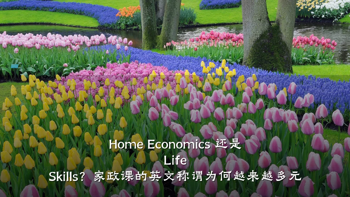 Home Economics 还是 Life Skills?家政课的英文称谓为何越来越多元