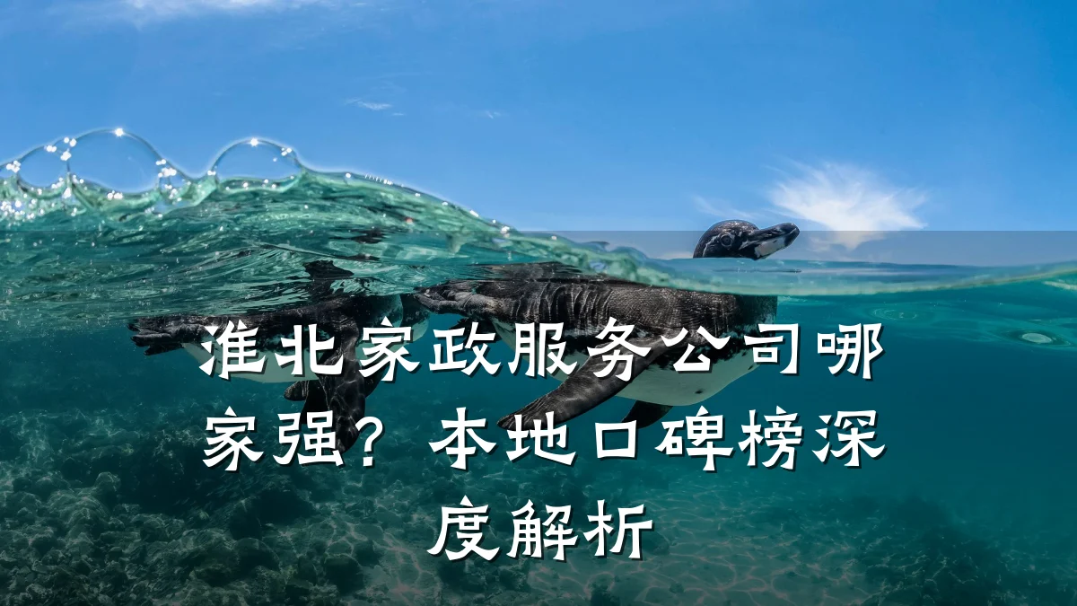 淮北家政服务公司哪家强?本地口碑榜深度解析
