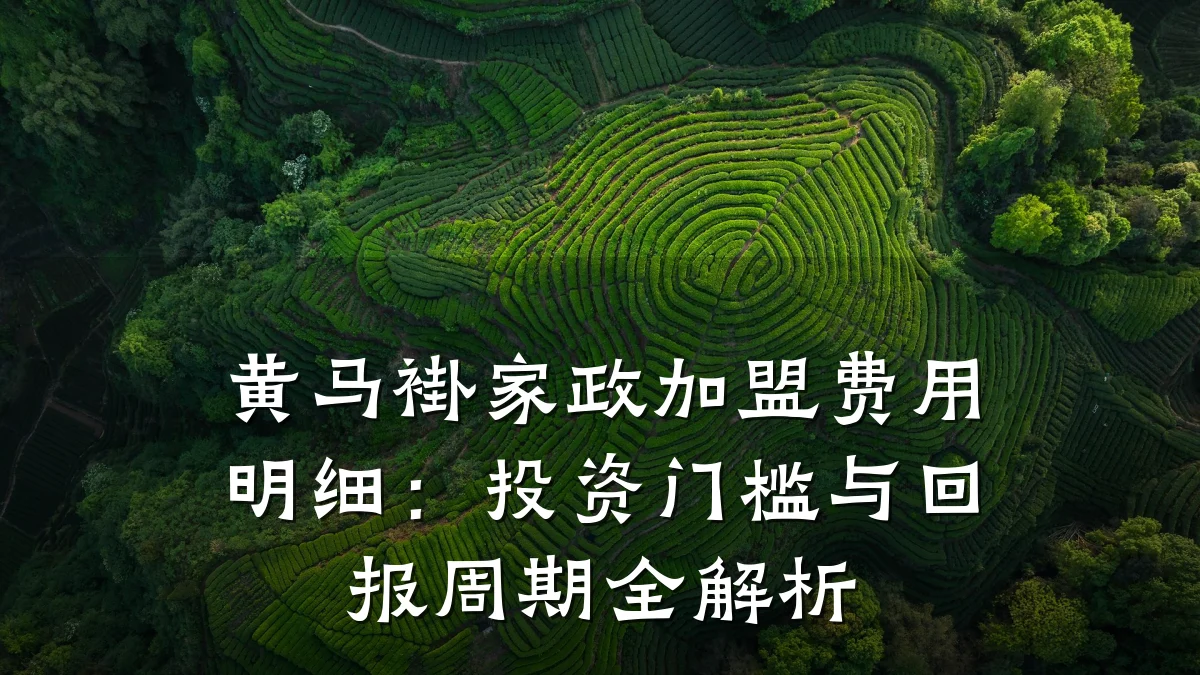 黄马褂家政加盟费用明细：投资门槛与回报周期全解析