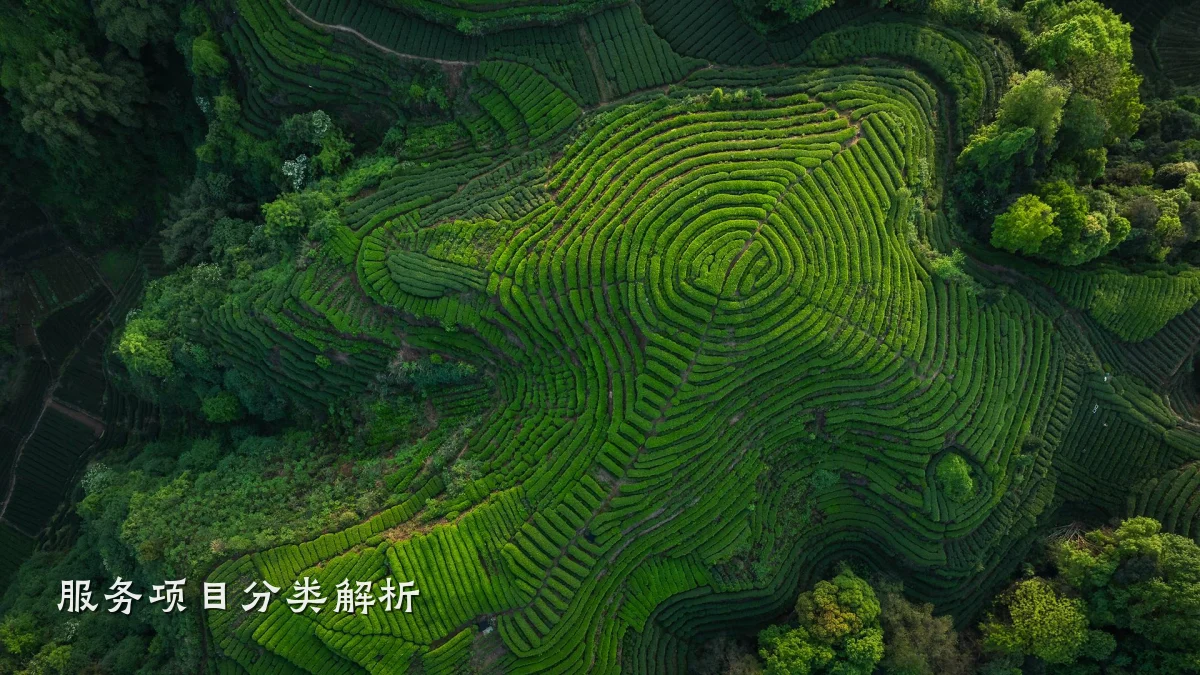 服务项目分类解析