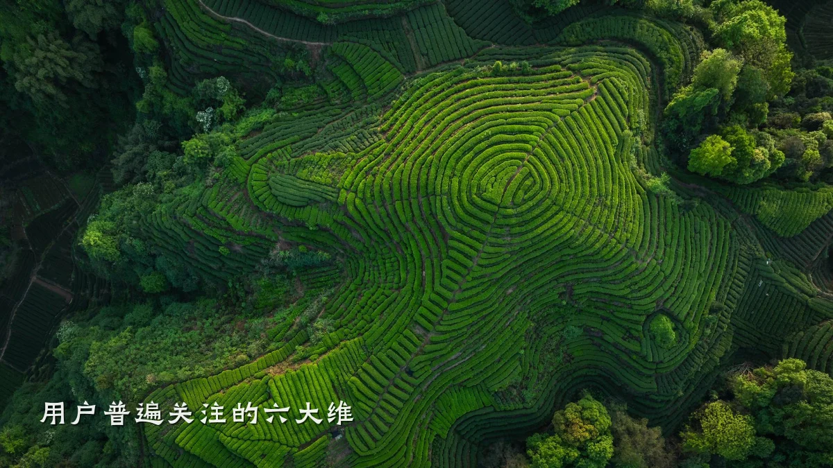 用户普遍关注的六大维