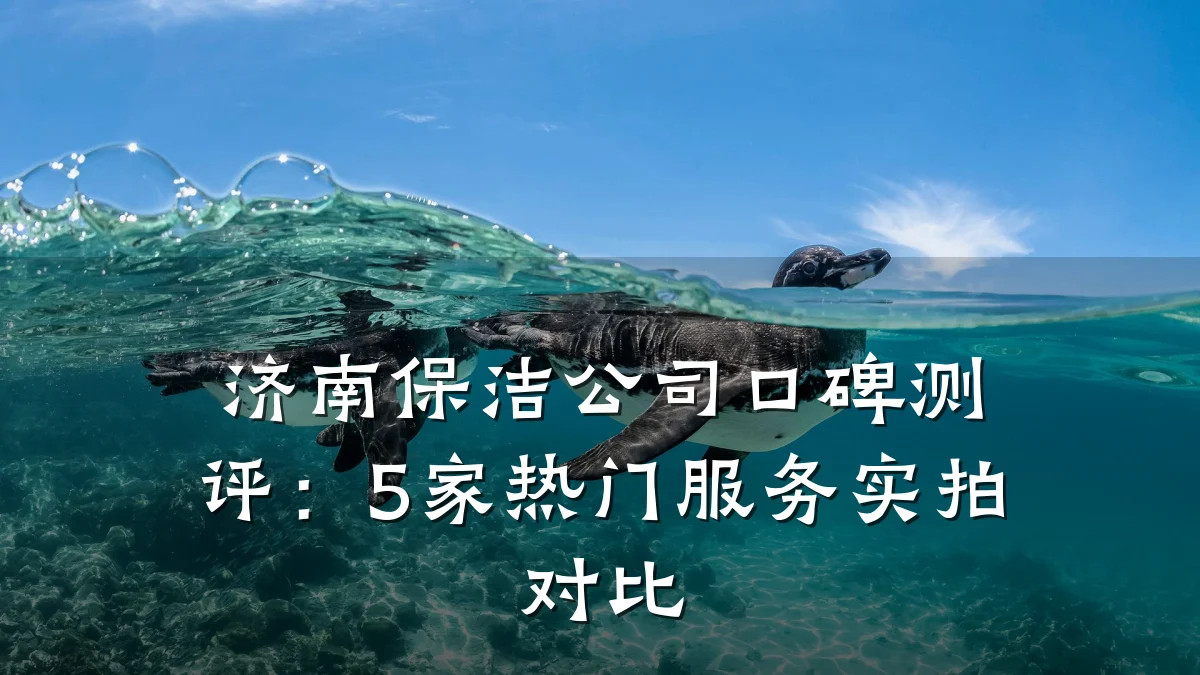 济南保洁公司口碑测评：5家热门服务实拍对比