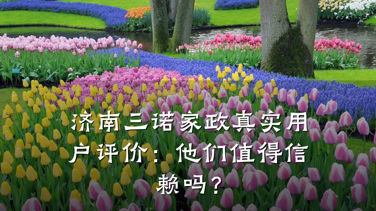济南三诺家政真实用户评价：他们值得信赖吗？
