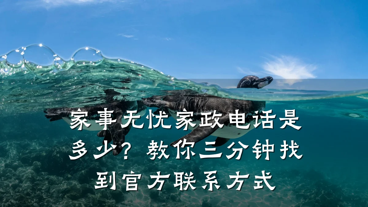 家事无忧家政电话是多少?教你三分钟找到官方联系方式