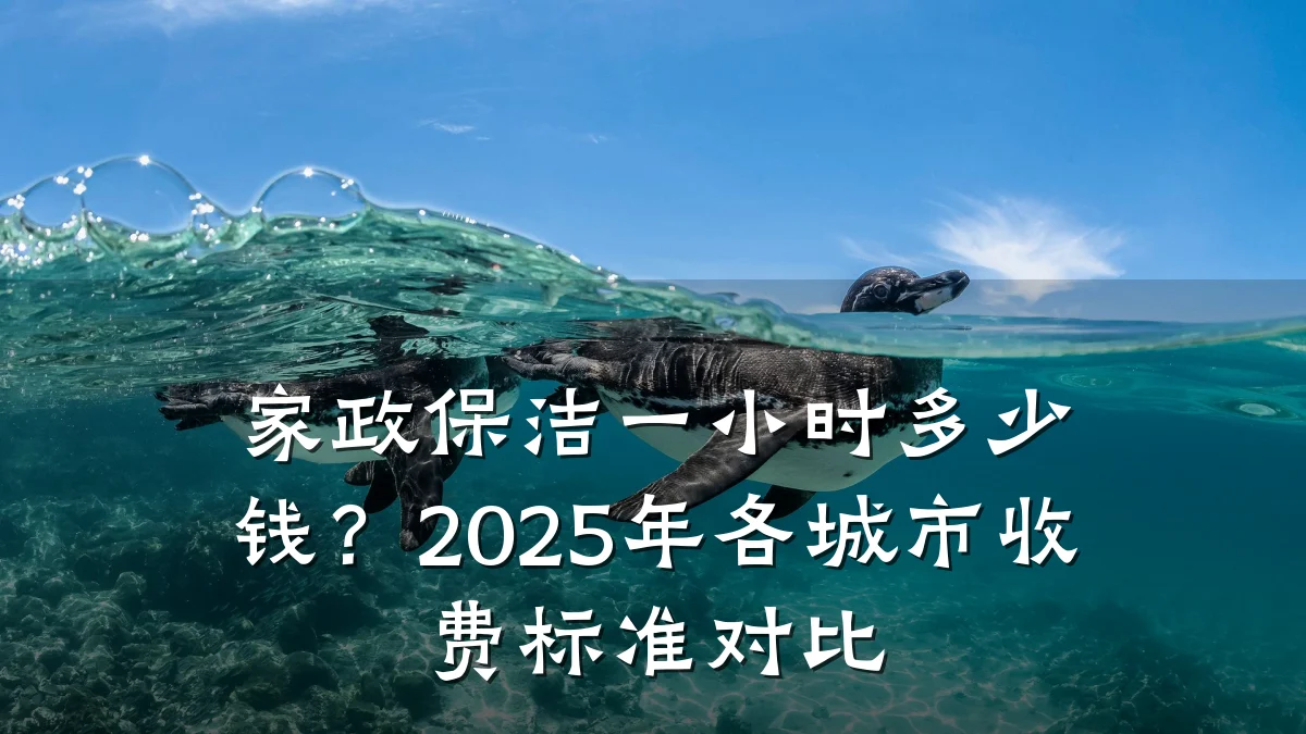 家政保洁一小时多少钱?2025年各城市收费标准对比