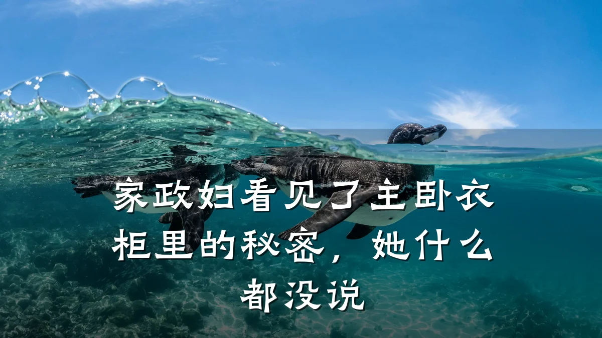 家政妇看见了主卧衣柜里的秘密,她什么都没说