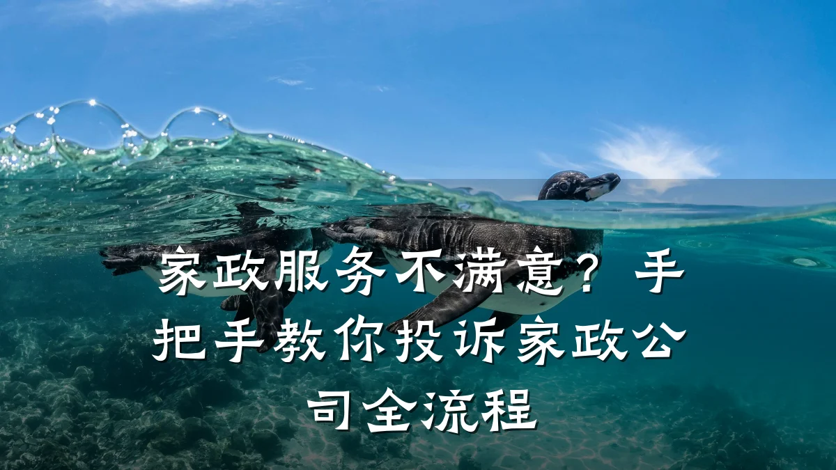 家政服务不满意?手把手教你投诉家政公司全流程
