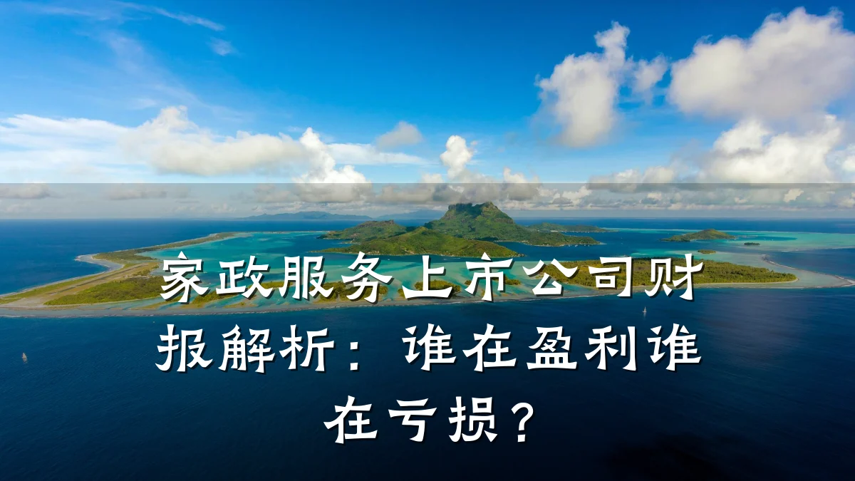 家政服务上市公司财报解析:谁在盈利谁在亏损?