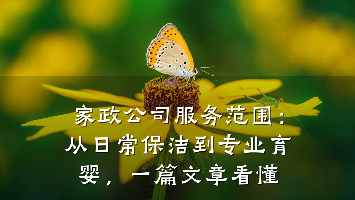家政公司服务范围:从日常保洁到专业育婴,一篇文章看懂