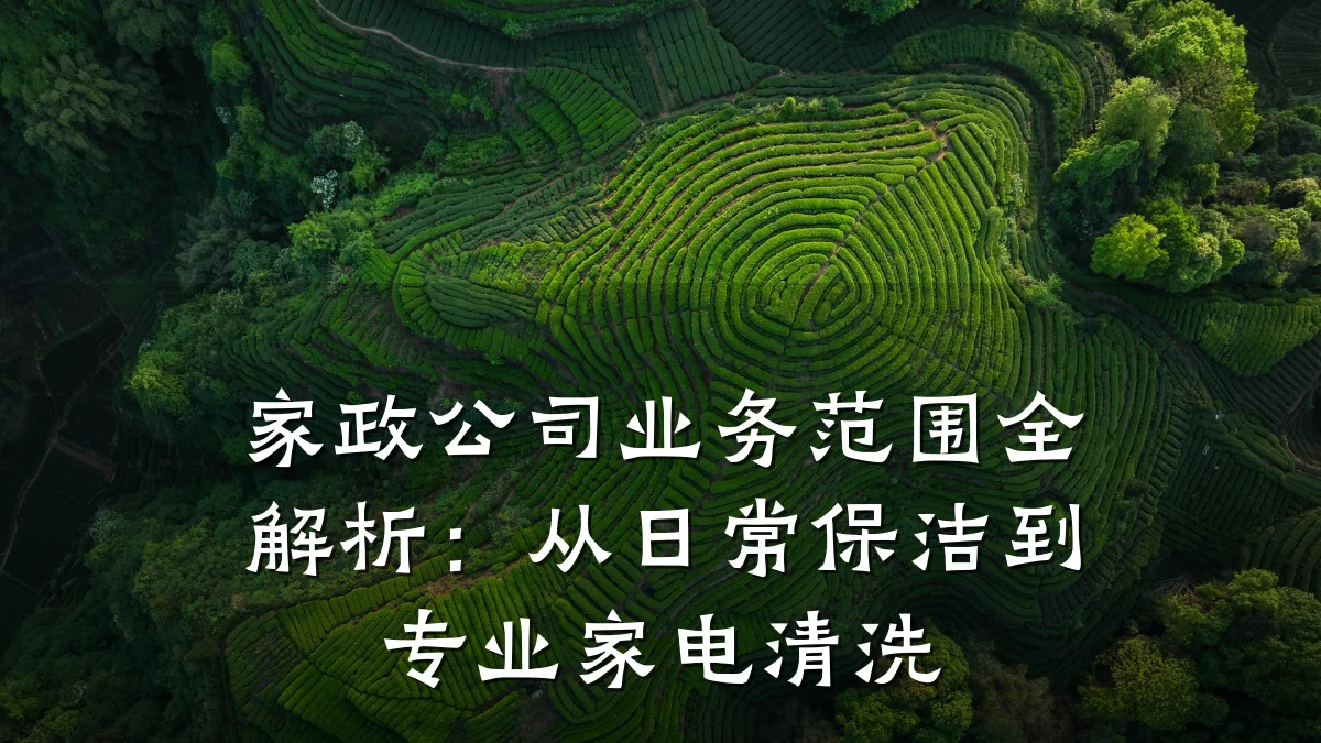 家政公司业务范围全解析:从日常保洁到专业家电清洗