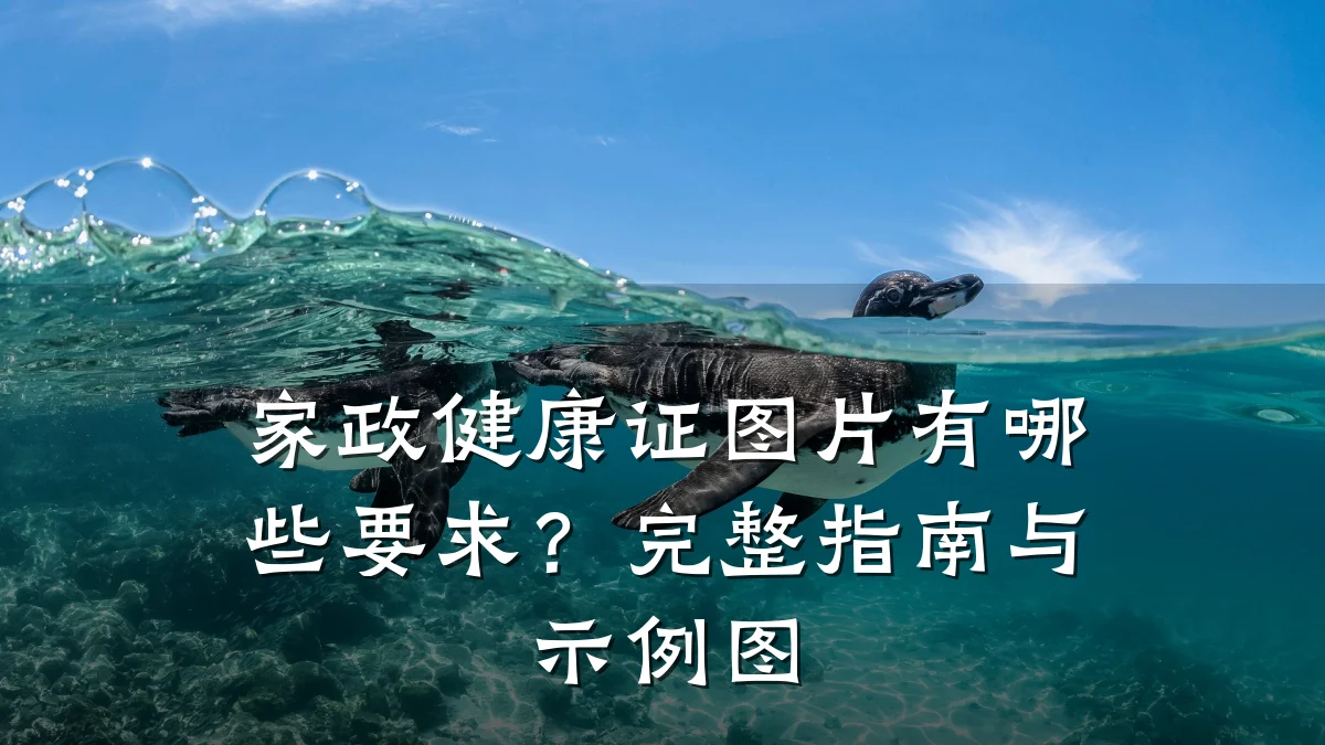 家政健康证图片有哪些要求?完整指南与示例图