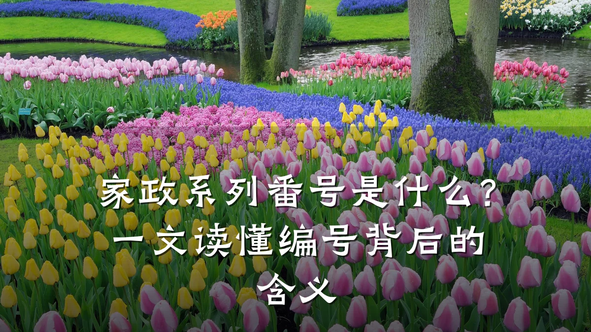 家政系列番号是什么？一文读懂编号背后的含义
