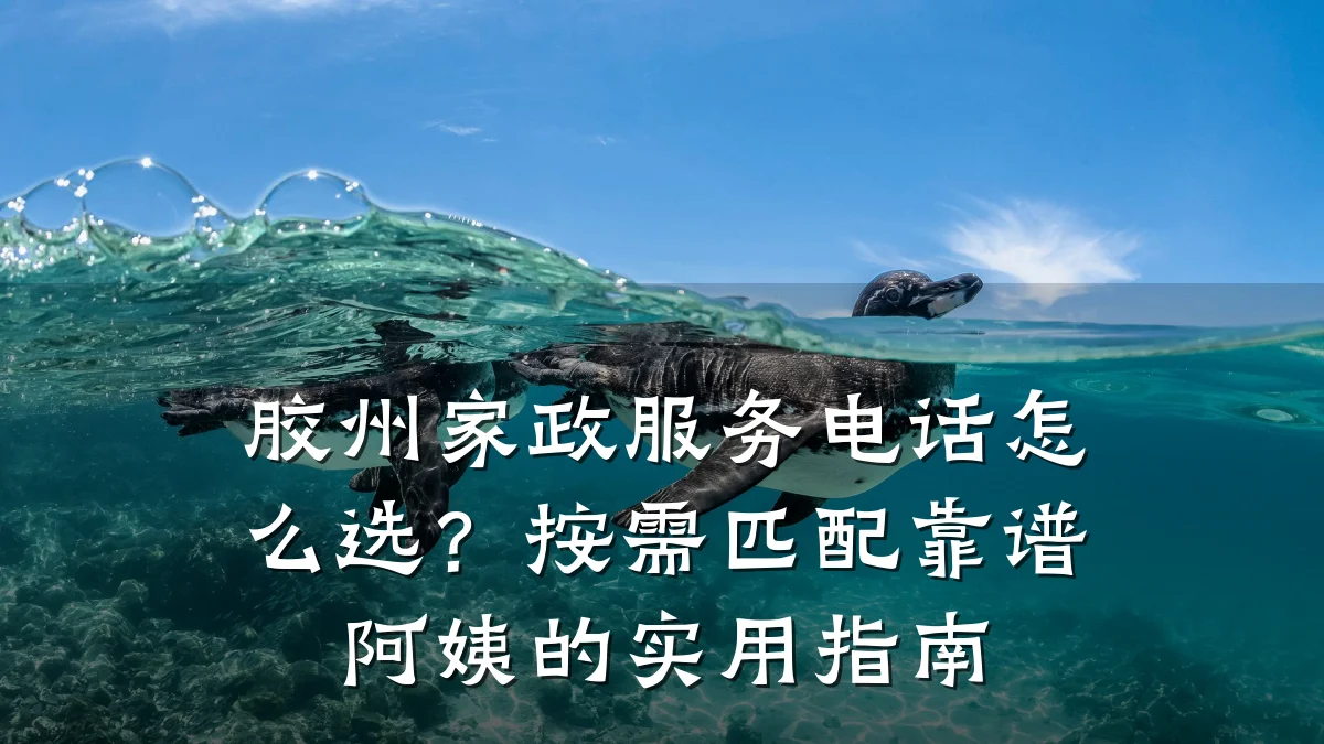 胶州家政服务电话怎么选？按需匹配靠谱阿姨的实用指南