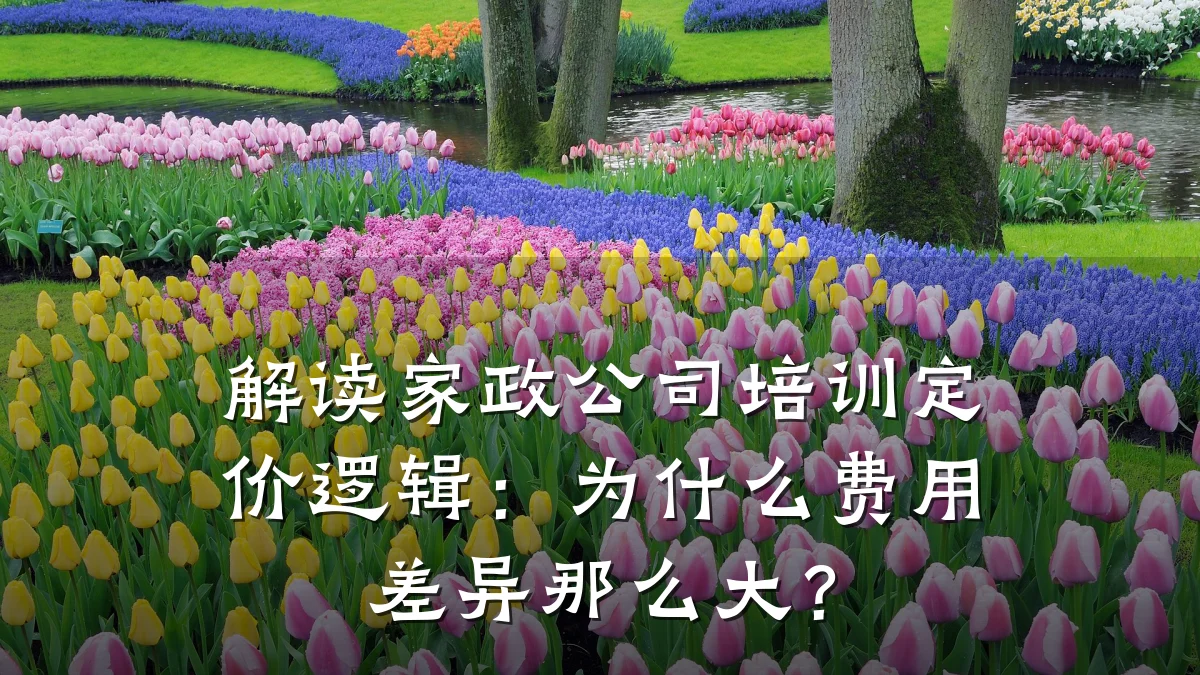解读家政公司培训定价逻辑:为什么费用差异那么大?