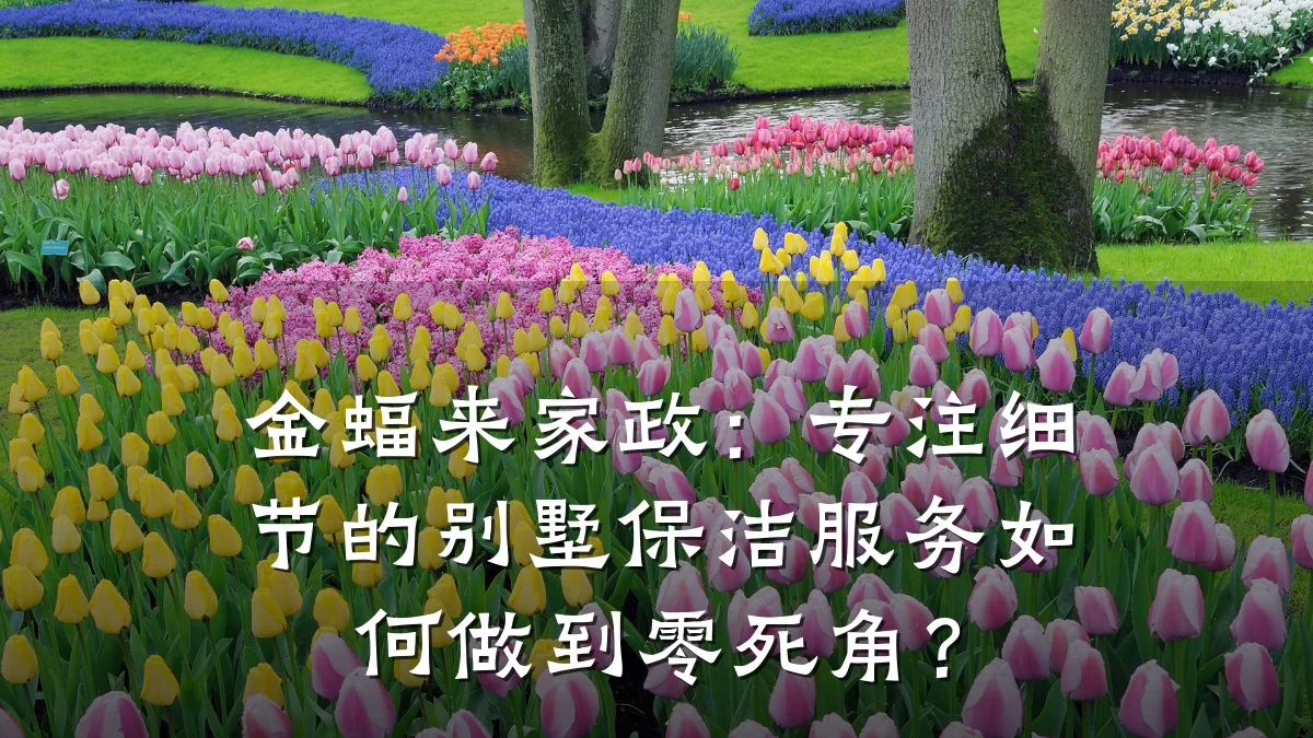 金蝠来家政:专注细节的别墅保洁服务如何做到零死角?