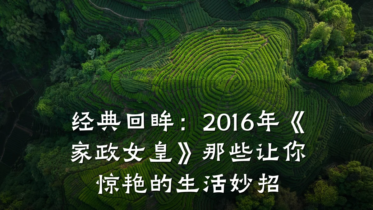 经典回眸:2016年《家政女皇》那些让你惊艳的生活妙招