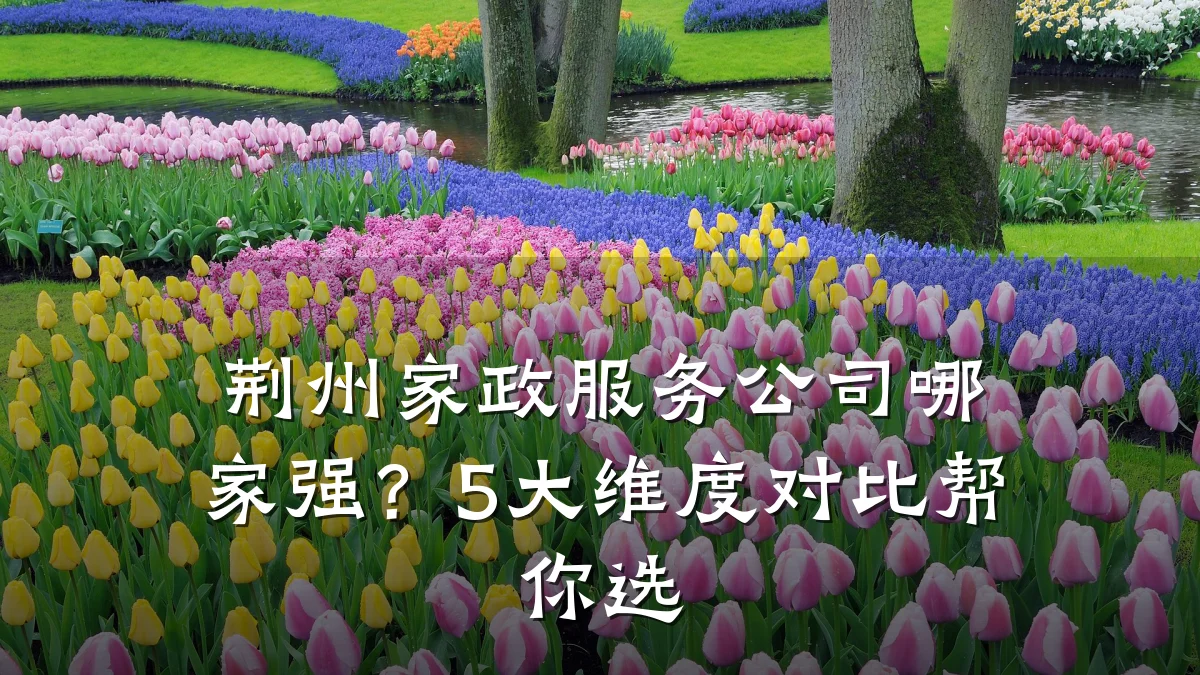 荆州家政服务公司哪家强?5大维度对比帮你选