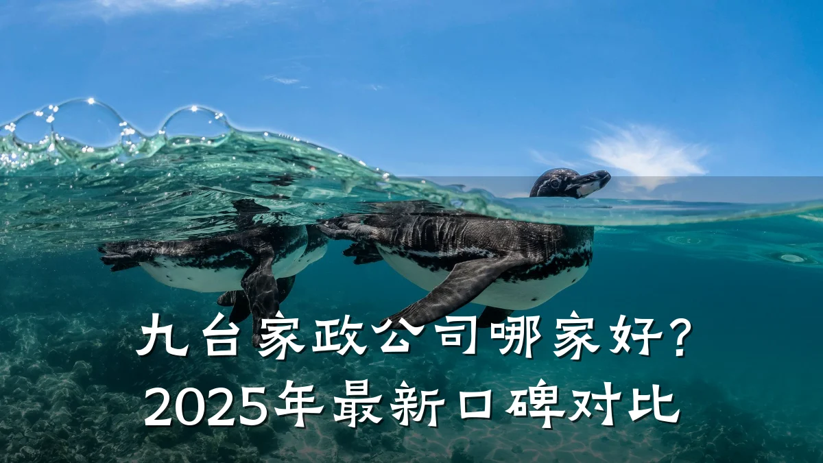 九台家政公司哪家好?2025年最新口碑对比