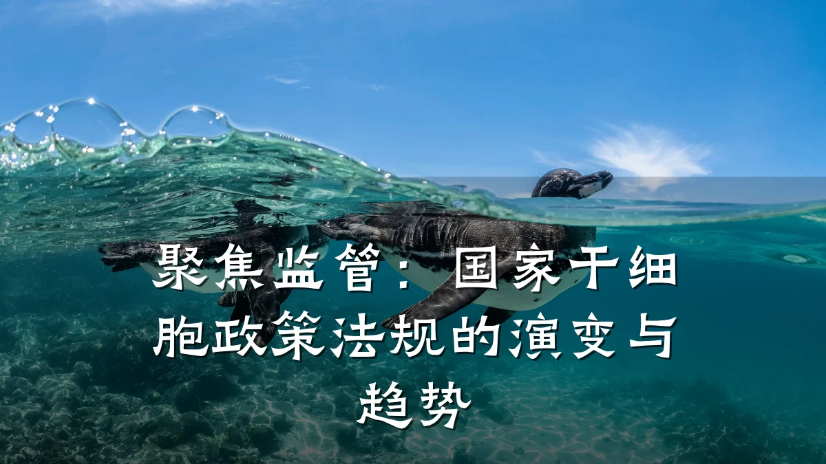 聚焦监管:国家干细胞政策法规的演变与趋势