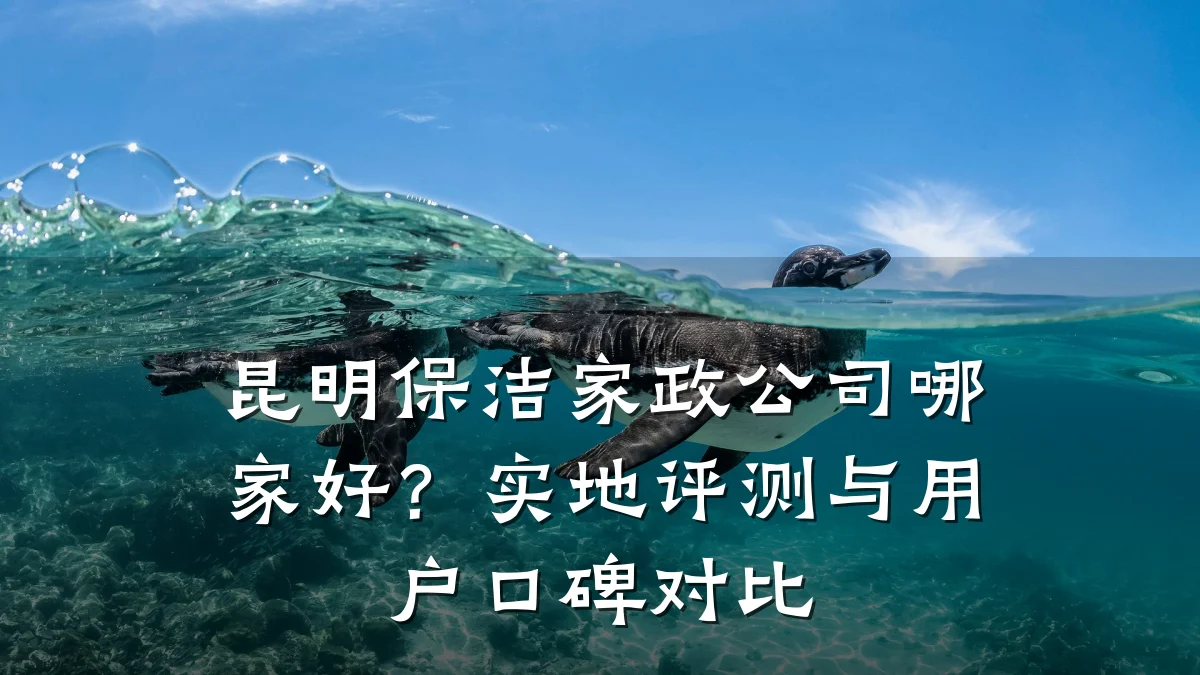 昆明保洁家政公司哪家好?实地评测与用户口碑对比