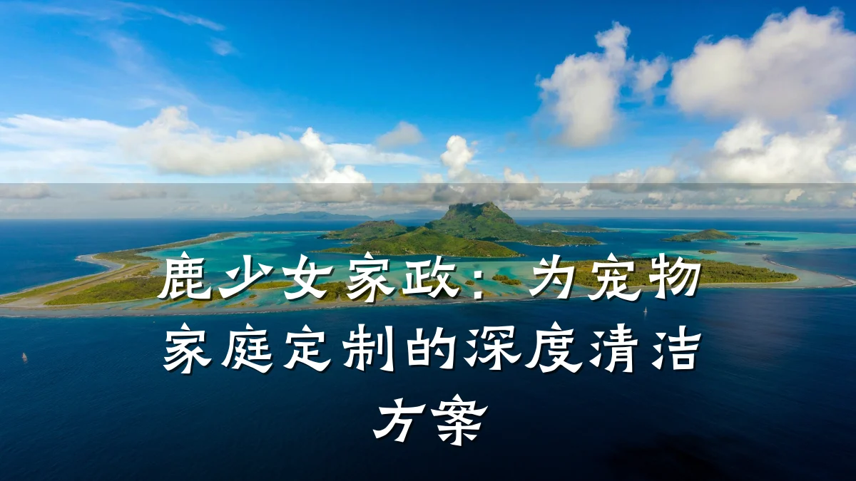 鹿少女家政:为宠物家庭定制的深度清洁方案