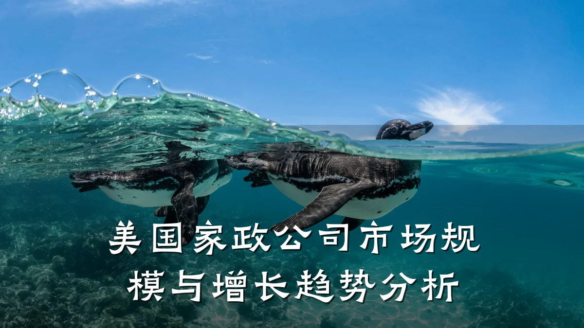 美国家政公司市场规模与增长趋势分析