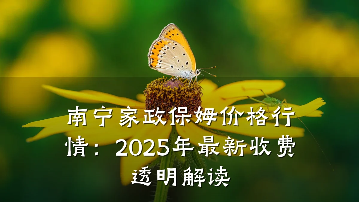 南宁家政保姆价格行情:2025年最新收费透明解读