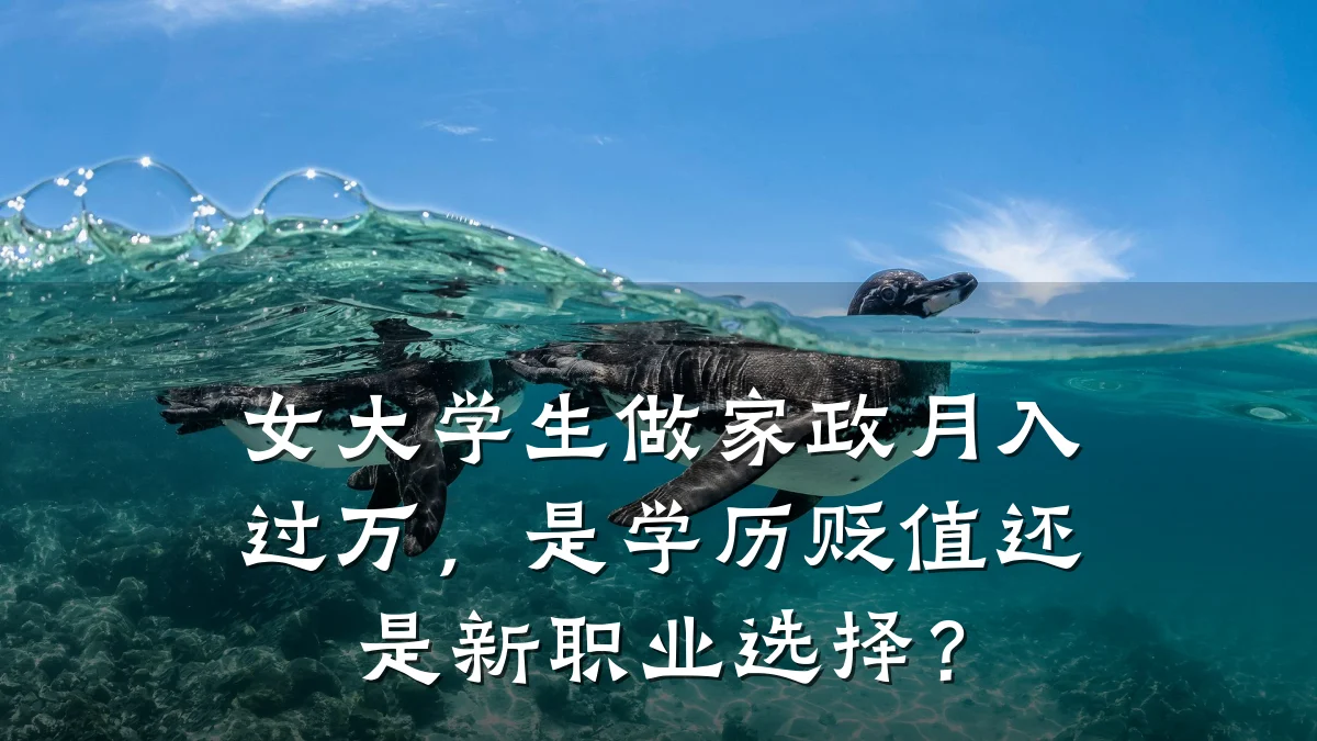 女大学生做家政月入过万,是学历贬值还是新职业选择?