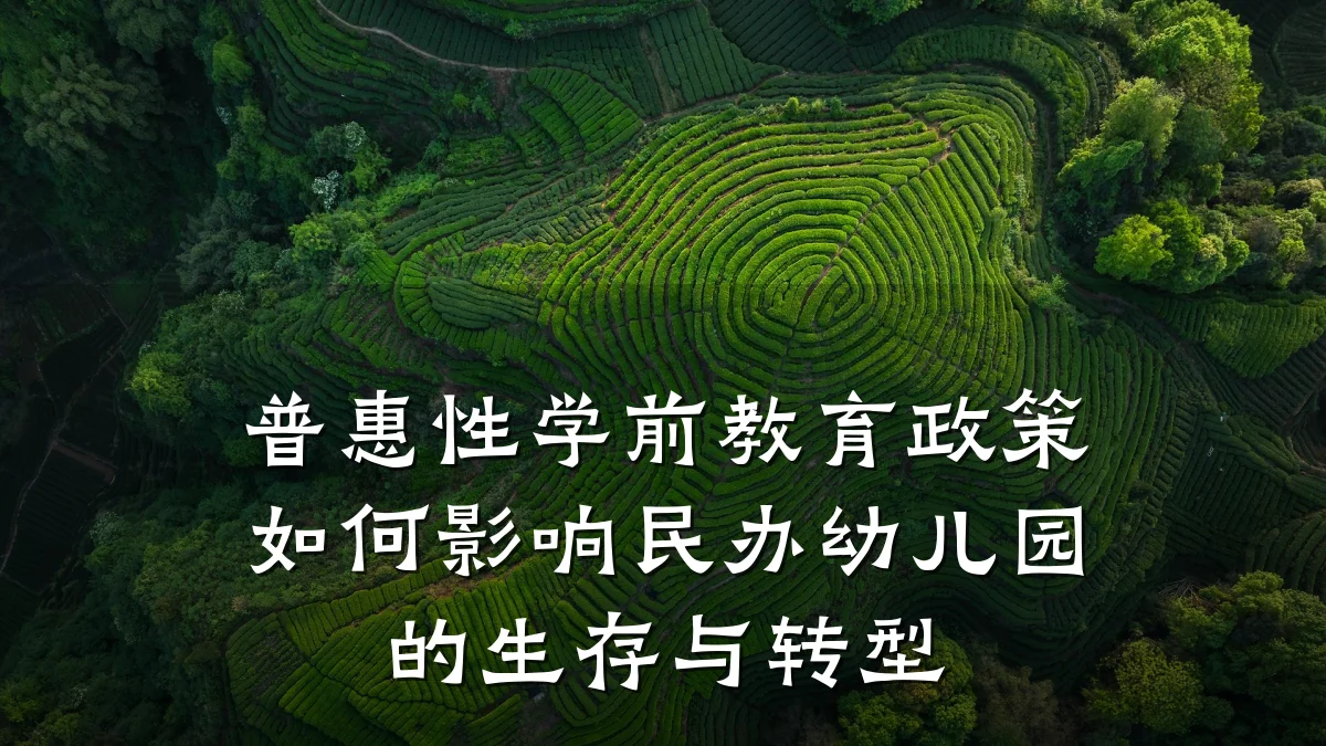 普惠性学前教育政策如何影响民办幼儿园的生存与转型