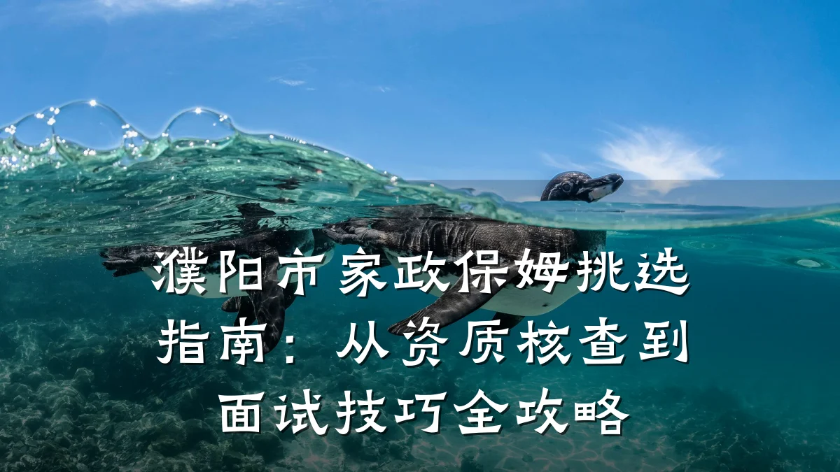 濮阳市家政保姆挑选指南:从资质核查到面试技巧全攻略
