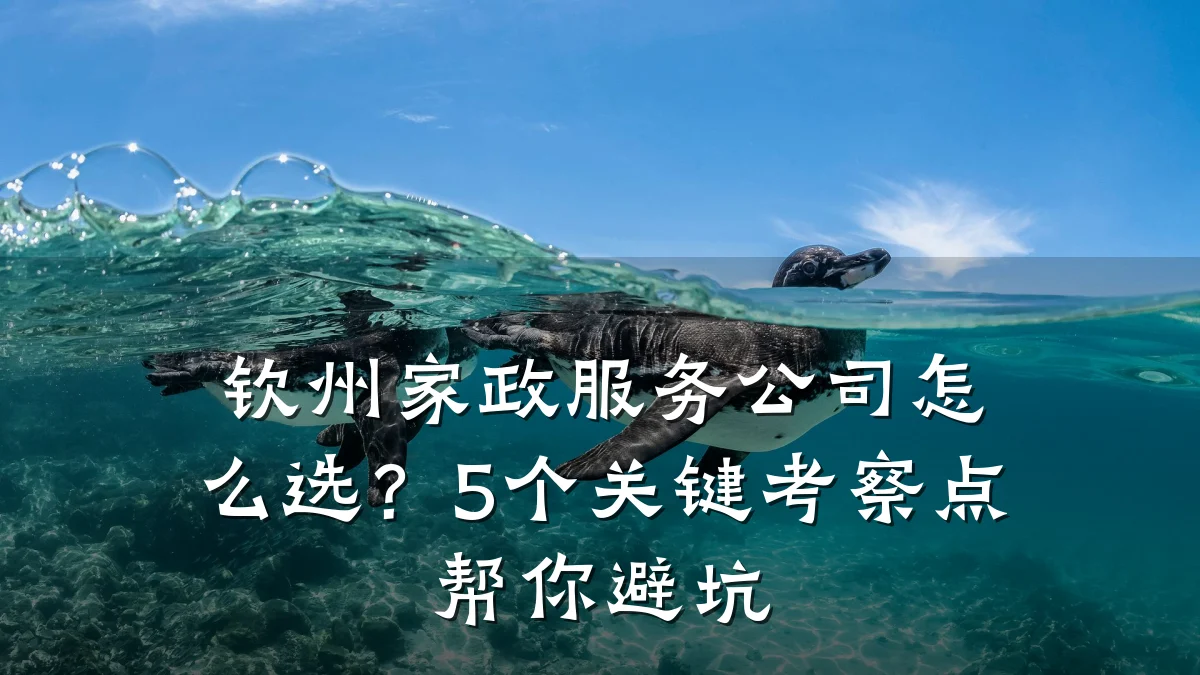 钦州家政服务公司怎么选？5个关键考察点帮你避坑