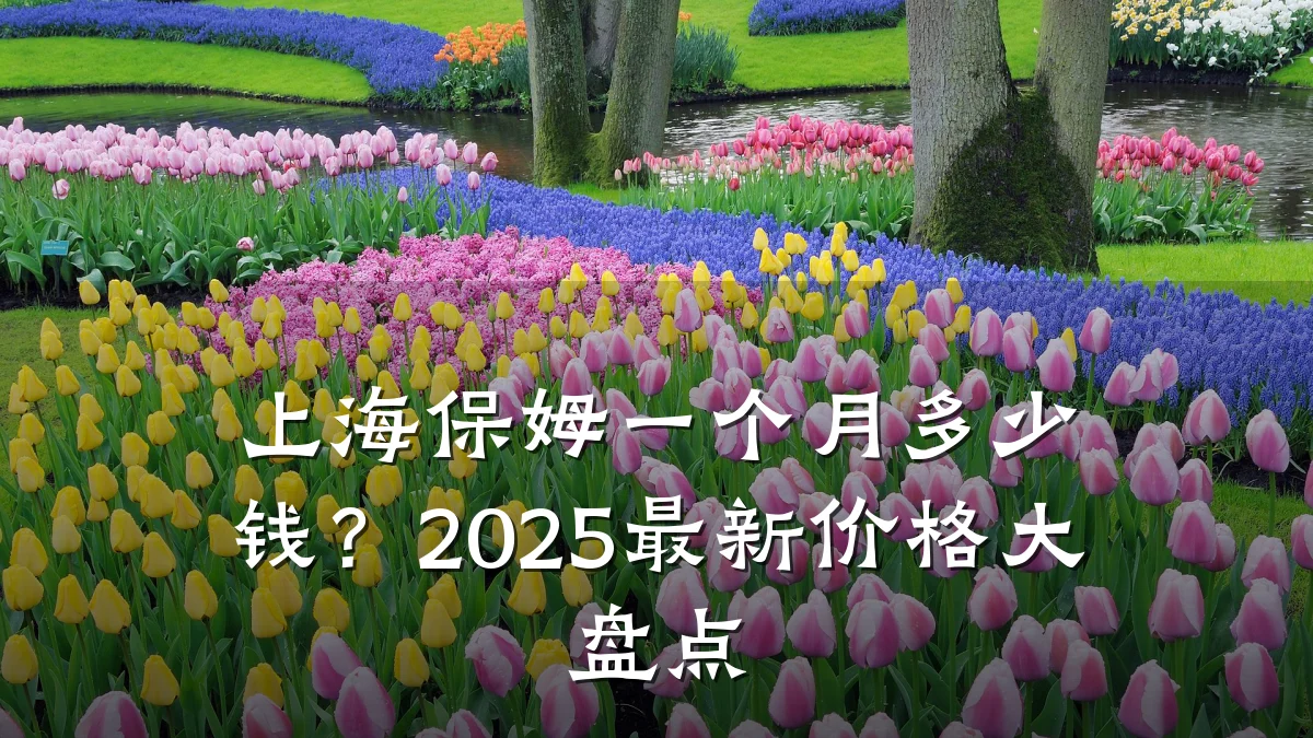 上海保姆一个月多少钱?2025最新价格大盘点